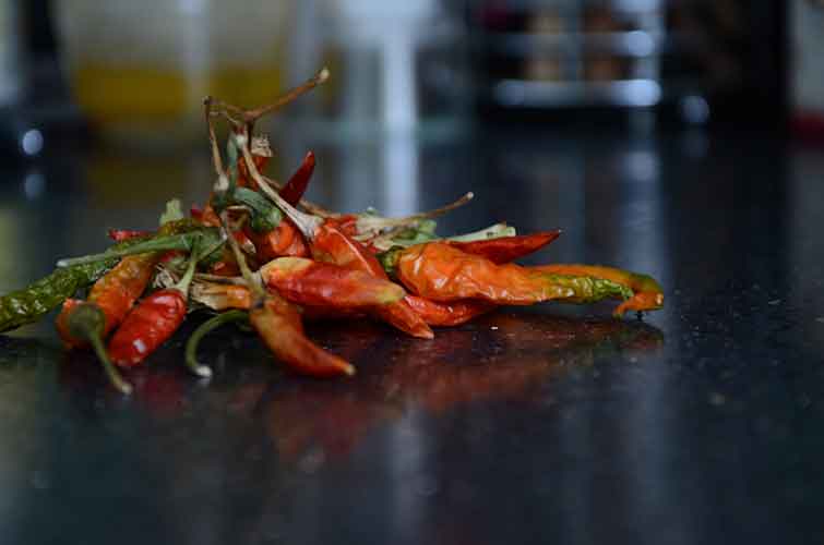 chilli sounds - high pitch, fast tempo