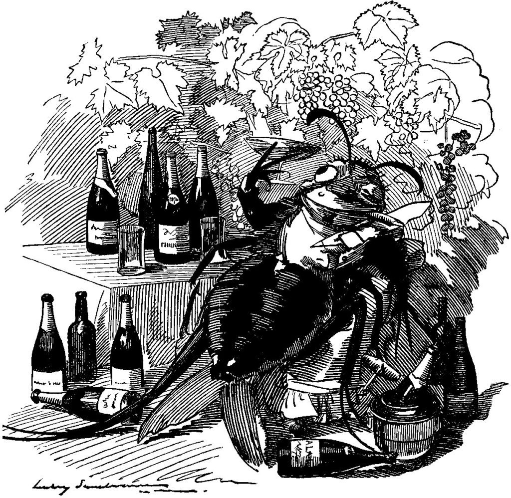 history of wine