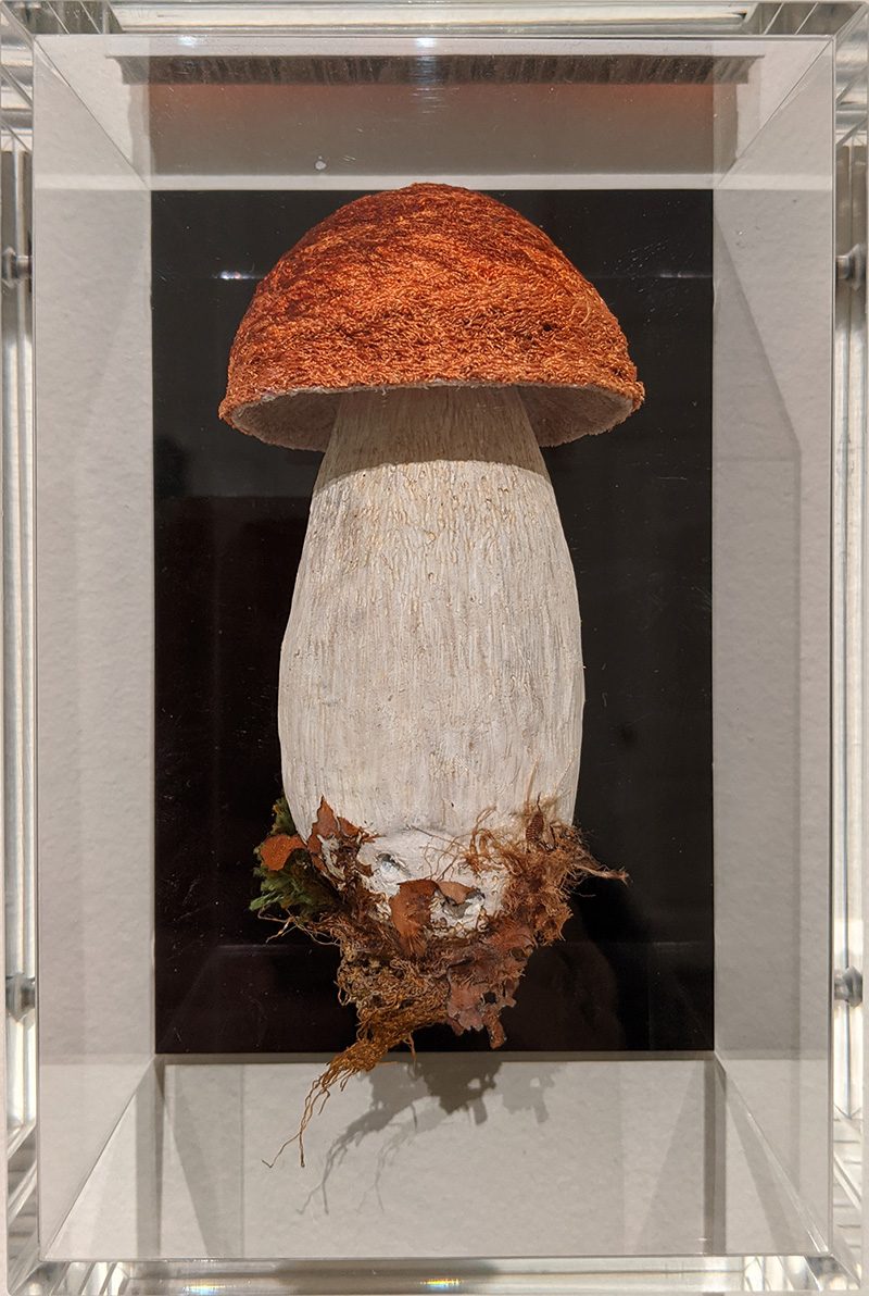 Fabulous model of a porcini by textile artist, Amanda Cobbett who uses threads, silks, hand dyes and papers.