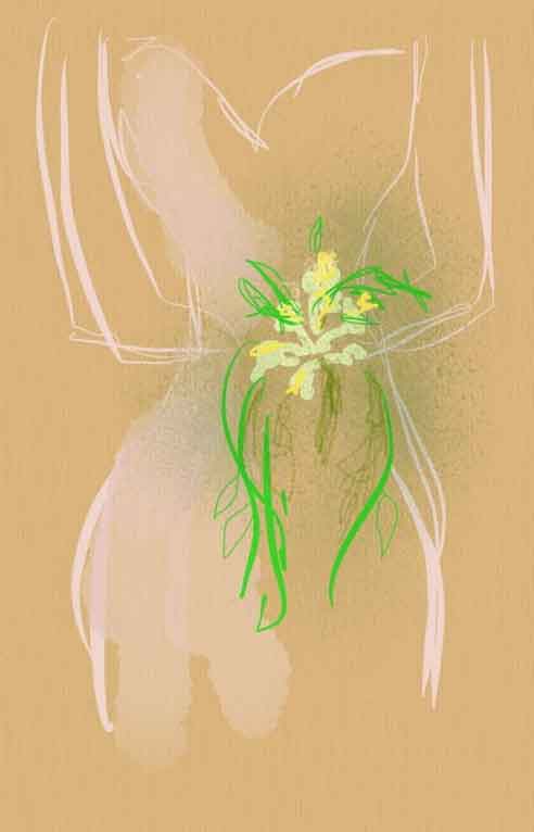 Biancoli - a vegetable beautiful enough for a bride's bouquet