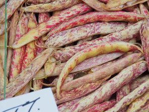 food in season in November