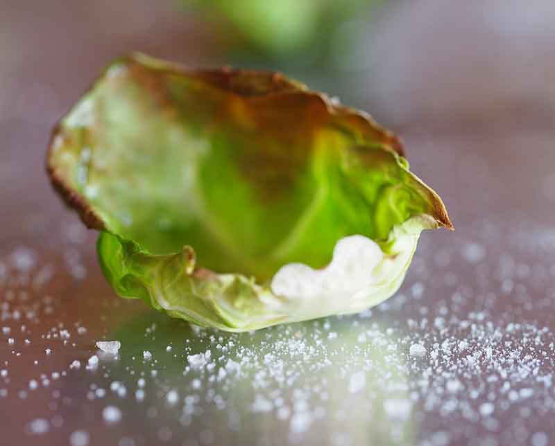 2018 food and drink trend