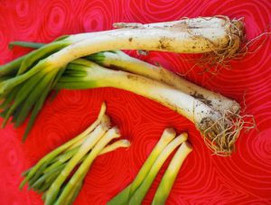 calcot onions recipe