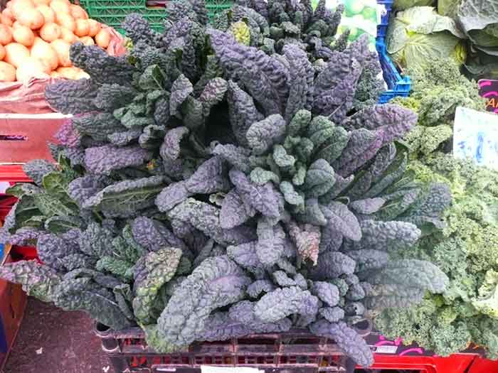 what is cavolo nero?