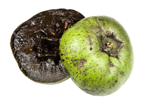 black sapote