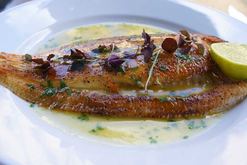 A perfect lemon sole with rosy butter at Woods restaurant in Bath