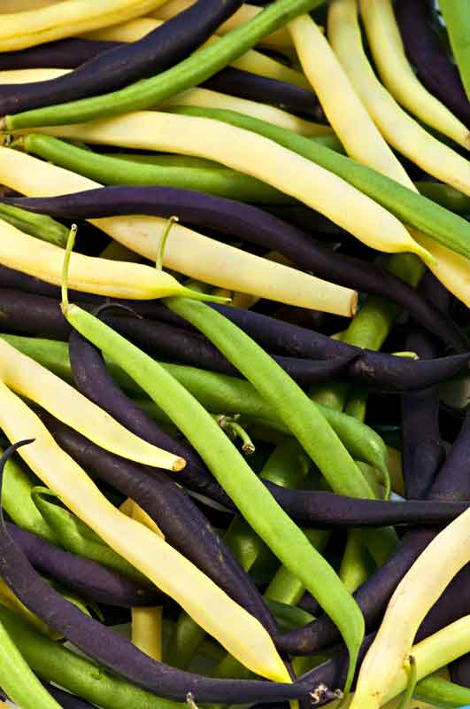 guide to green beans