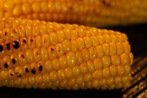 Indian-accented corn on the cob recipe