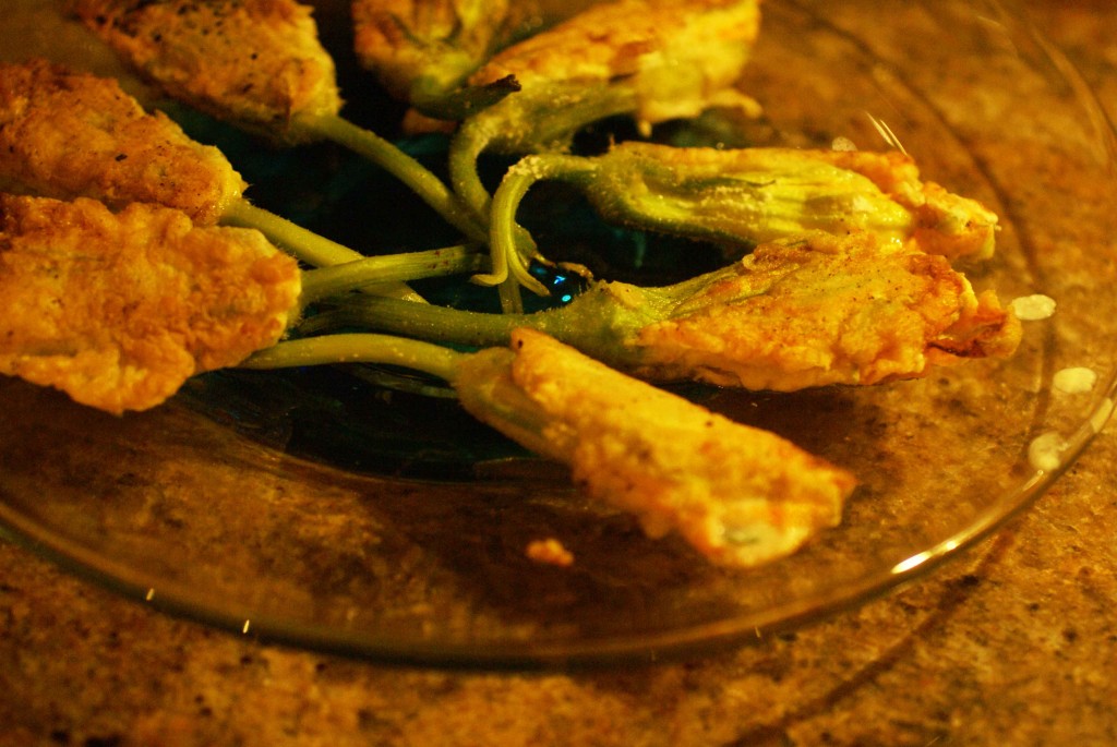 fried courgette flowers recipe