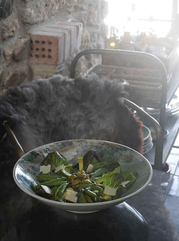 sugar snap pea salad recipe