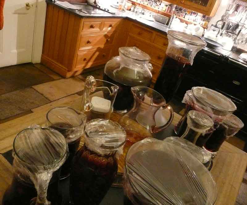 how to make damson gin