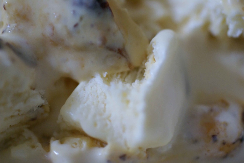 vanilla ice cream