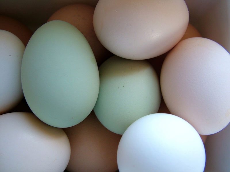 Pastel pink eggs even...