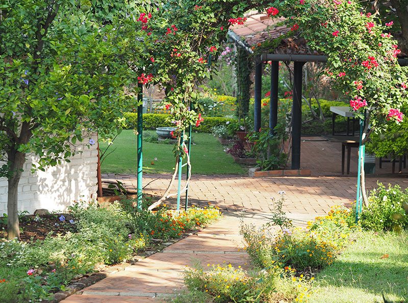 The pretty garden around the Gitanjali homestay