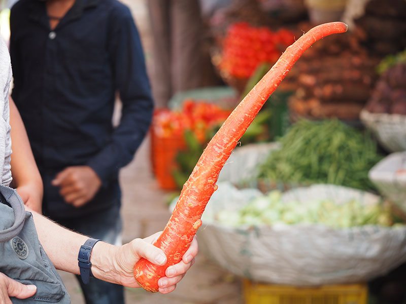 HUGE carrot