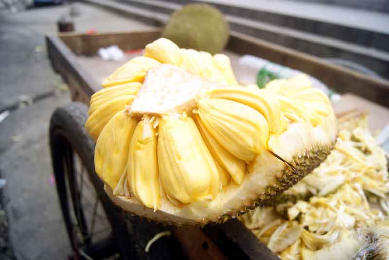 all about jackfruit