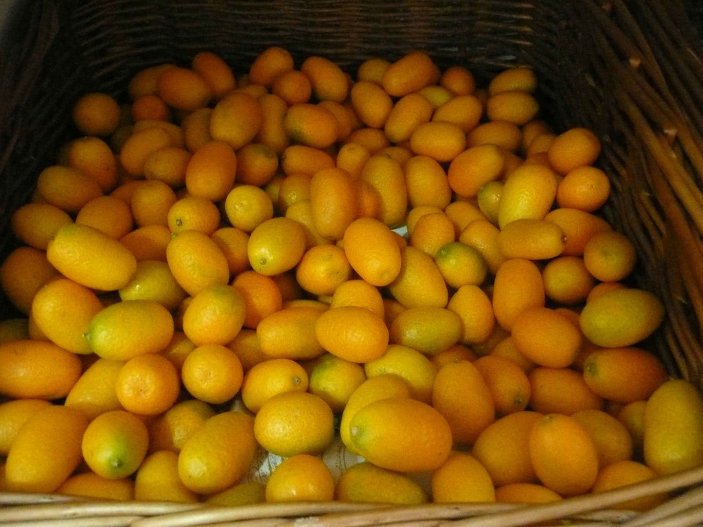 kumquat or cumquat