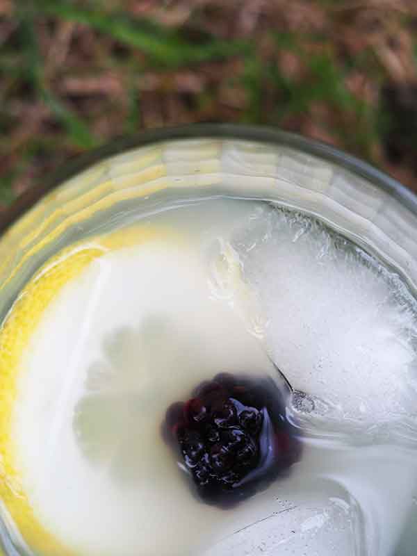 lemonade cocktails