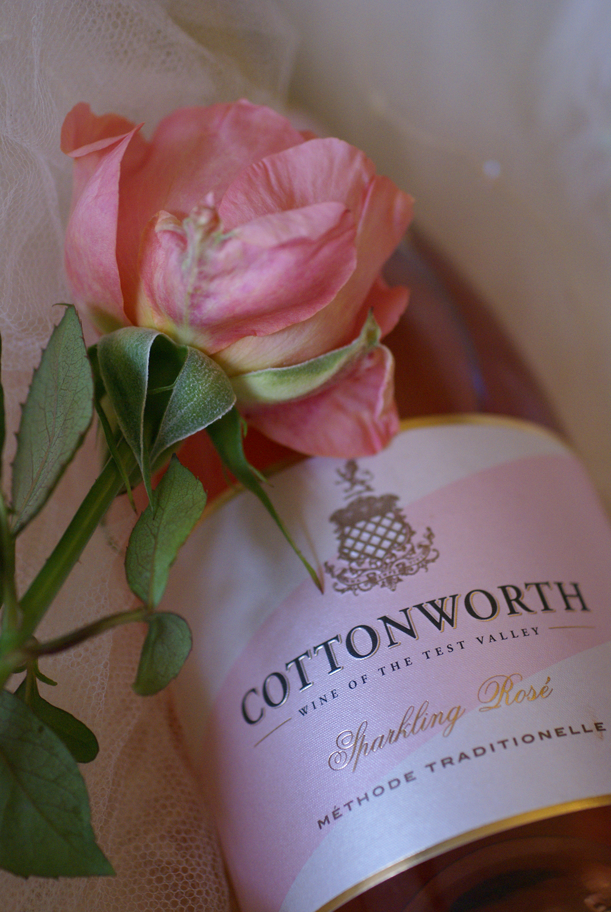Cottonworth sparkling wine from Hampshire