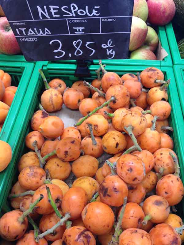 what to do with loquats