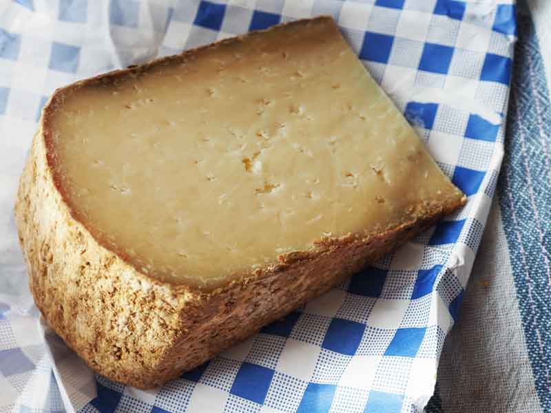 Lord of the Hundreds... an attractive white knobbly rind.