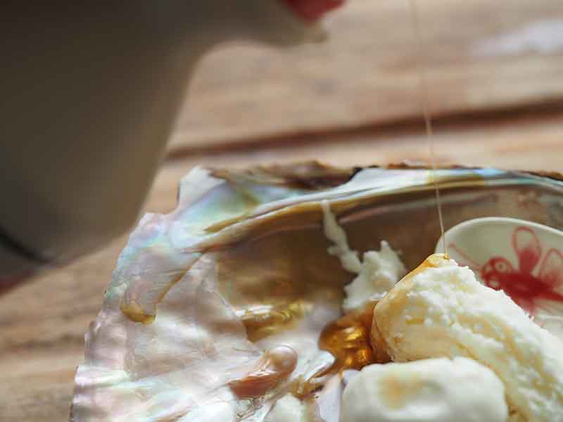 all about maple syrup