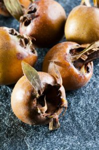 medlar