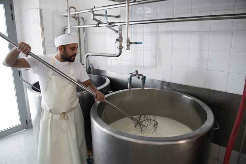 The mozzarella is broken into pieces with a huge whisk