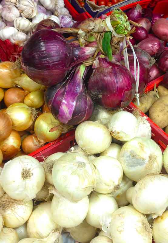 guide to onions