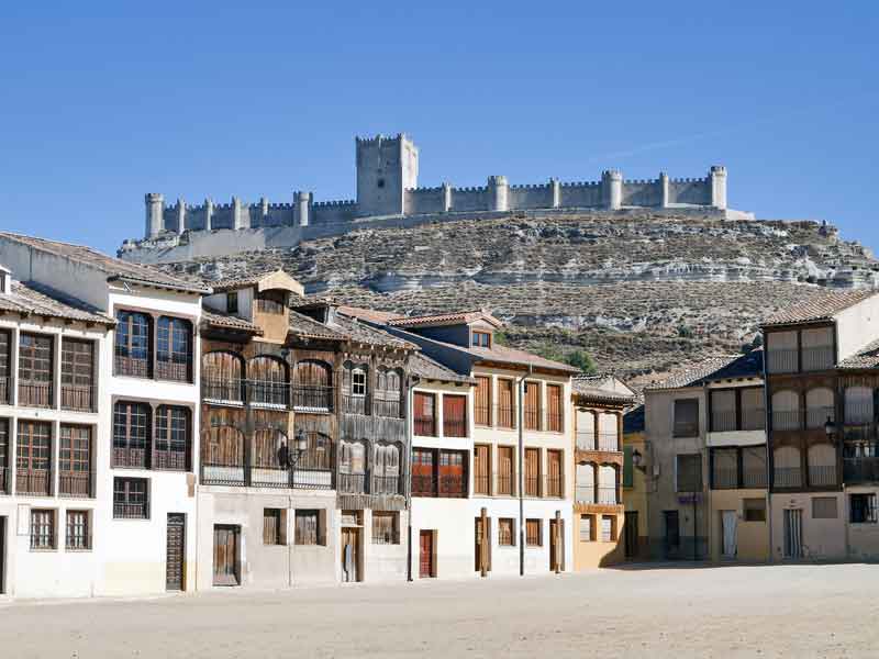 wines from ribera del duero