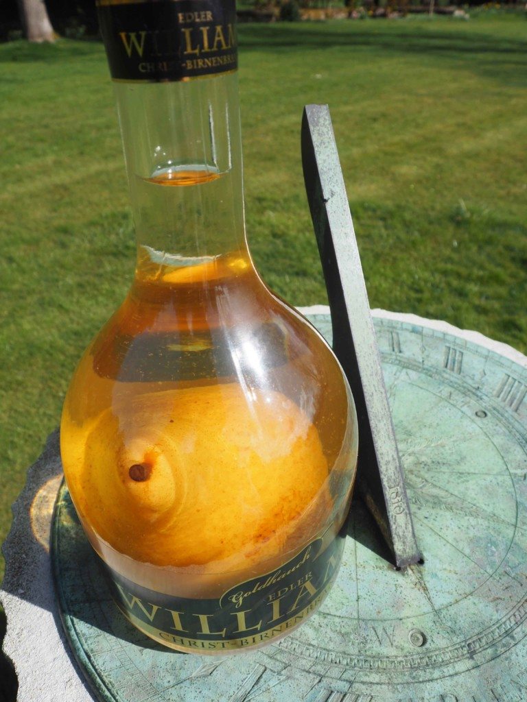 poire willem