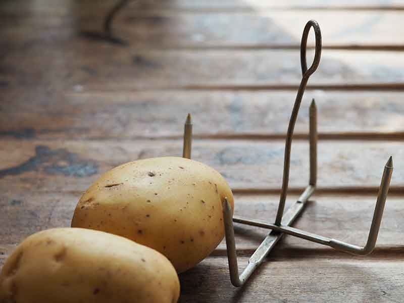 You can buy these prongs - you impale a potato onto each spike - which will help the potatoes to cook more quickly.