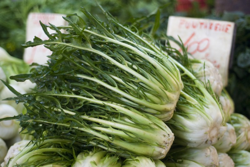 puntarelle recipes