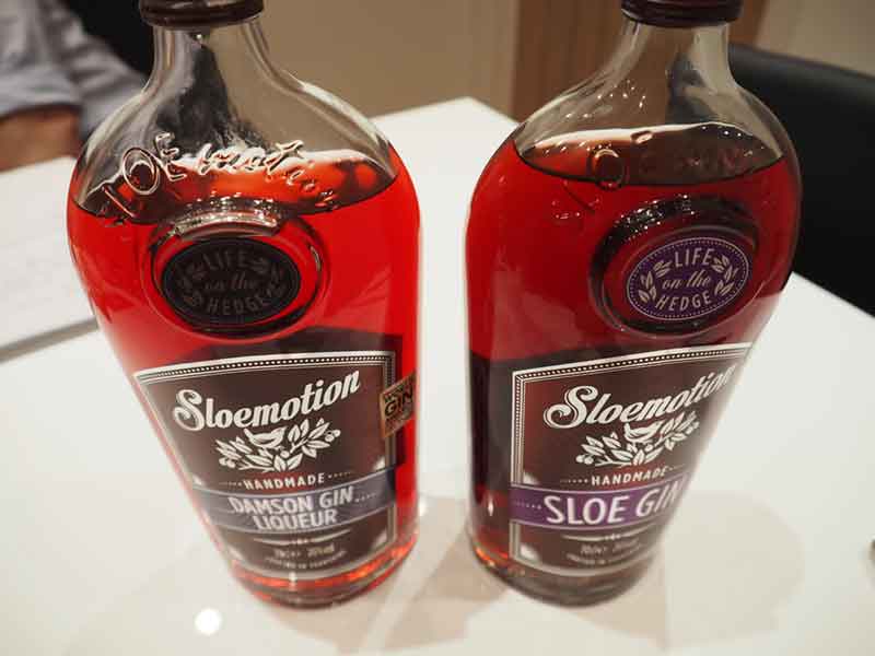 Damsons versus sloes - which is best?