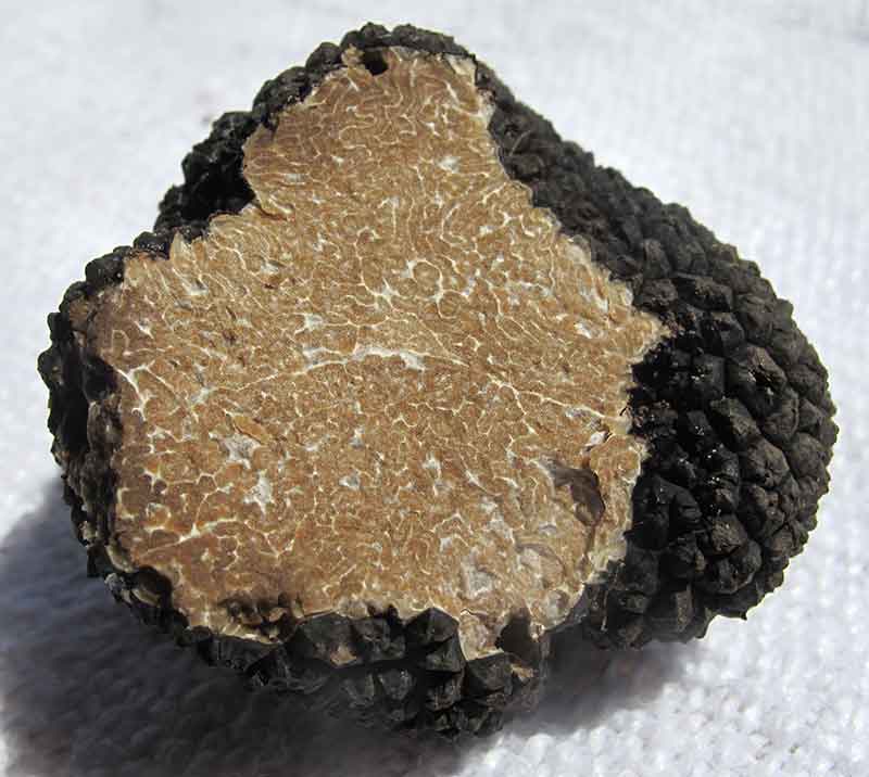 Tartufi estivi - shave over bruschette, with a shimmer of sea salt and olive oil