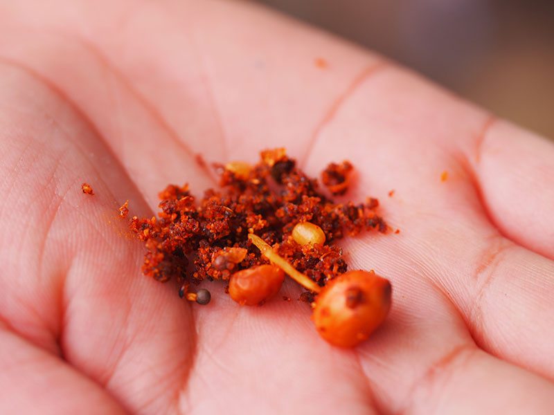 tamarind mix