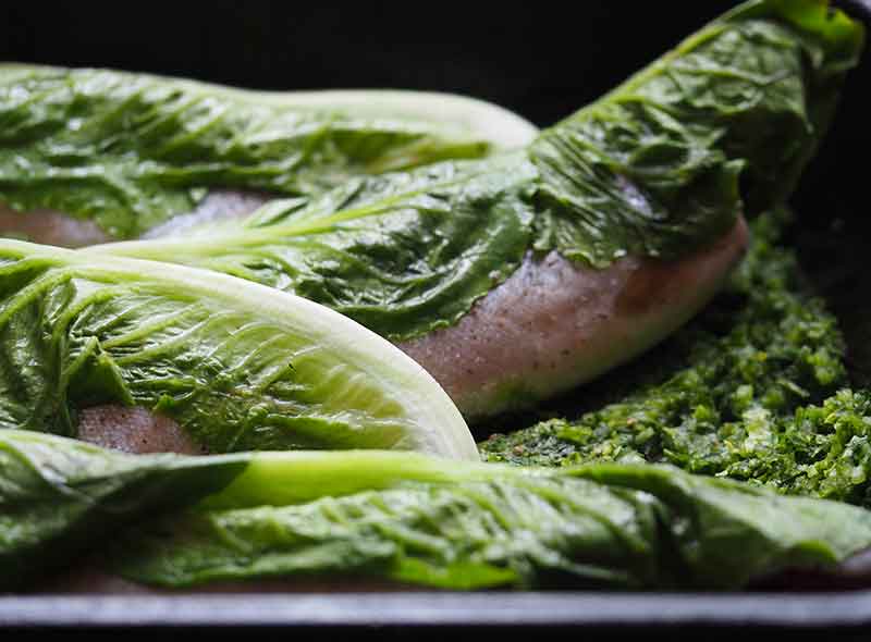 trout wrapped in lettuce recipe