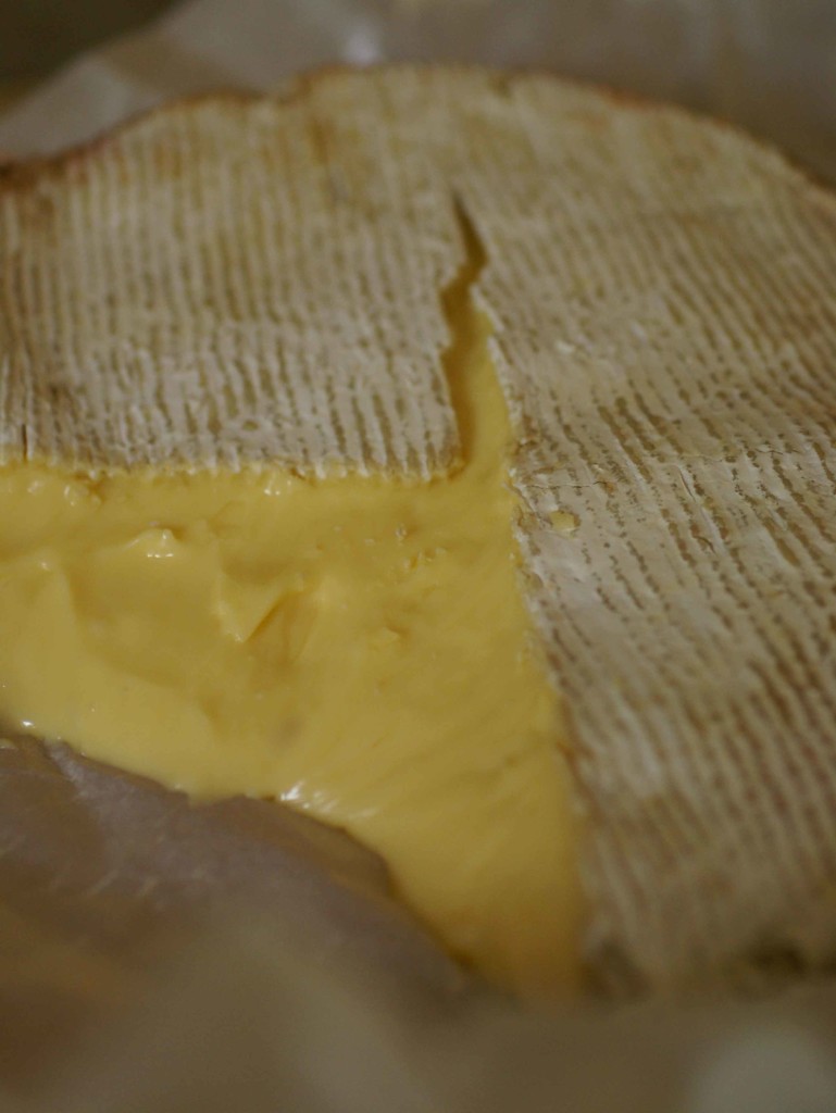Waterloo cheese