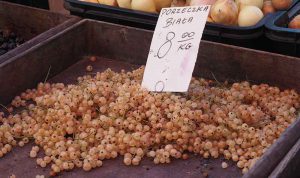 food in season in july