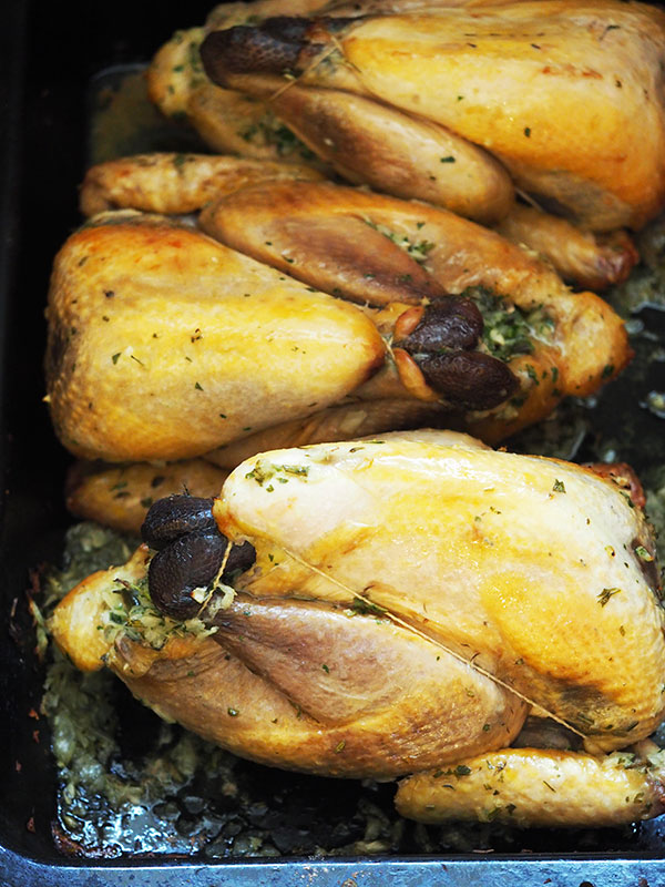 Yashim's guinea fowl